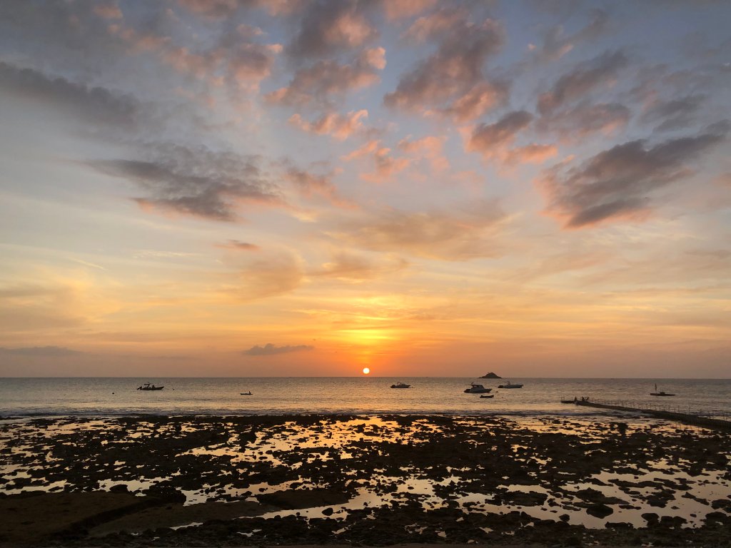 PRU : Plant. Raise.&nbsp;Understand